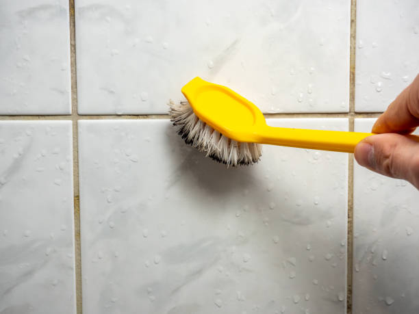Best Black Mold Remediation in Venice, IL