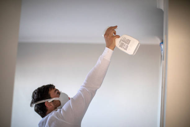 Best Mold Testing and Inspection Services in Venice, IL