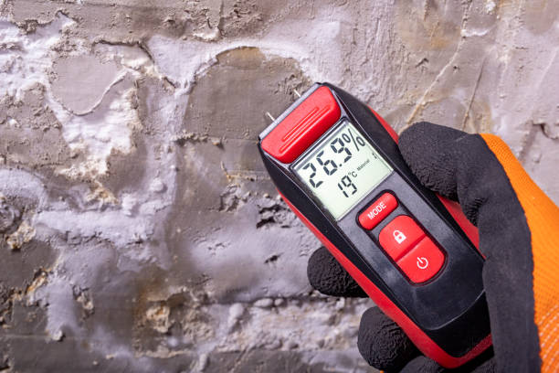 Best HVAC Mold Remediation in Venice, IL